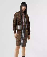 Burberry Monogram Stripe E-Canvas Camera Bag Bridle Brown