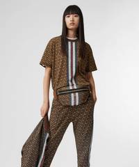 Burberry Medium Monogram Stripe E-Canvas Bum Bag Brown