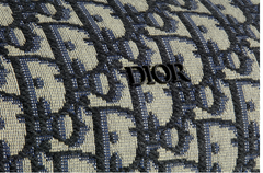 Roller Dior Oblique Messenger Bag