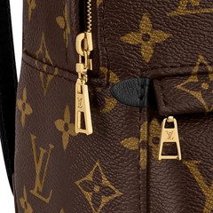 LV Palm Springs Backpack Mini Monogram