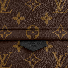 LV Palm Springs Backpack Mini Monogram